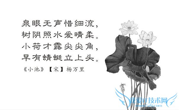 《小池》配画图 《小池》配画图