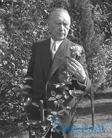 阿登纳的简介 阿登纳有哪些奇闻趣事 阿登纳的简介 阿登纳有哪些奇闻趣事