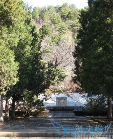 孙岳将军的简介 孙岳的墓在哪里 孙岳将军的简介 孙岳的墓在哪里