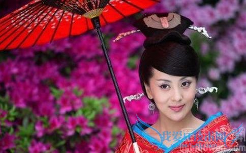 影视剧中的傅昭仪 影视剧中的傅昭仪