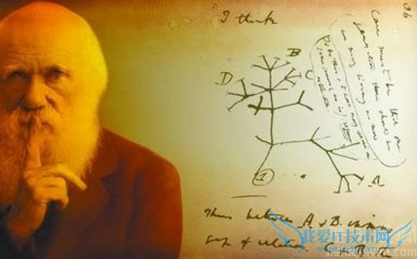 达尔文的照片 达尔文的照片
