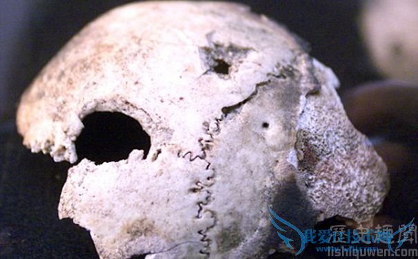希特勒怎么死的 希特勒头骨之谜 希特勒怎么死的 希特勒头骨之谜