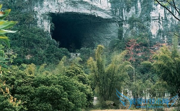 韦拔群是怎么死的 韦拔群是被谁杀害的 韦拔群是怎么死的 韦拔群是被谁杀害的