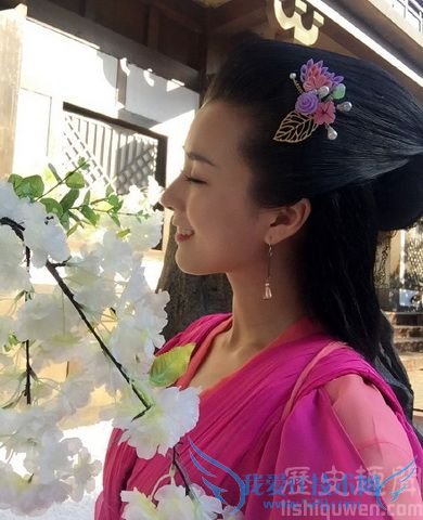 太子妃升职记王昭训的扮演者是谁 王昭训剧照 太子妃升职记王昭训的扮演者是谁 王昭训剧照