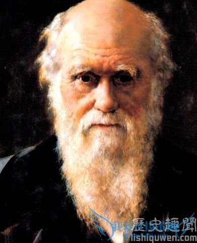 达尔文画像 达尔文画像
