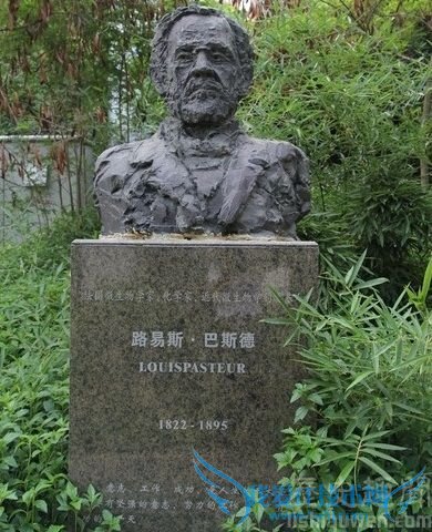 巴斯德在疫苗中的贡献 巴斯德如何征服狂犬病 巴斯德在疫苗中的贡献 巴斯德如何征服狂犬病