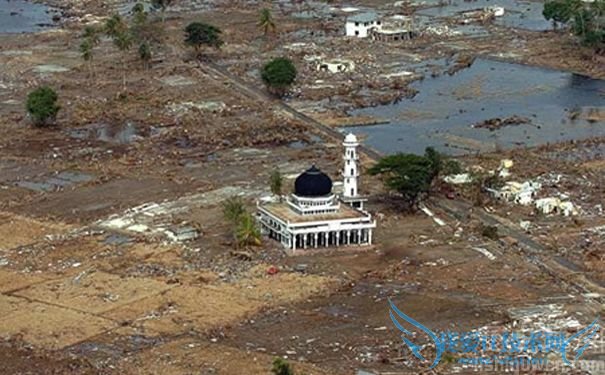 印度洋地震和海啸过后 印度洋地震和海啸过后