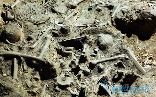 长平之战尸骨坑 长平之战尸骨坑