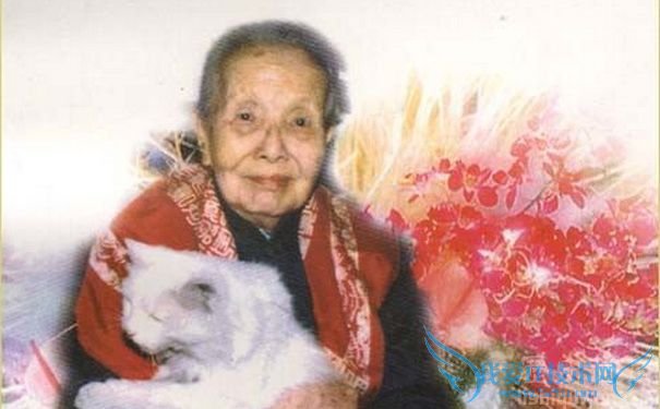 冰心图片 冰心图片