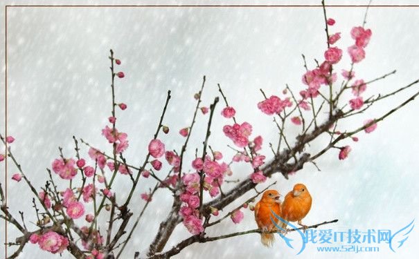 诗词配图 诗词配图