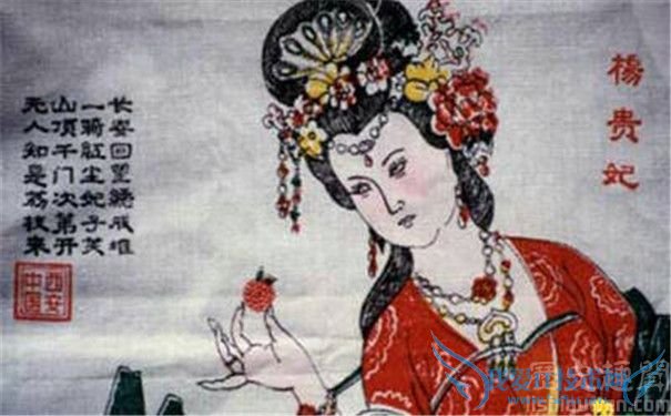 杨贵妃荔枝 杨贵妃荔枝