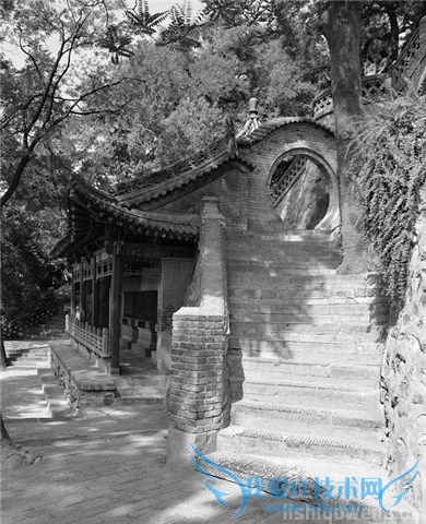 西安事变的真相是什么 西安事变历史地位 西安事变的真相是什么 西安事变历史地位