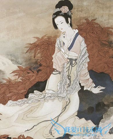 唐婉的画像 唐婉的画像