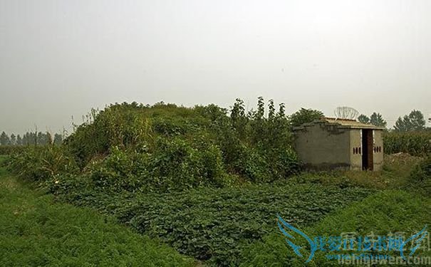 争议众多的曹奂墓 争议众多的曹奂墓