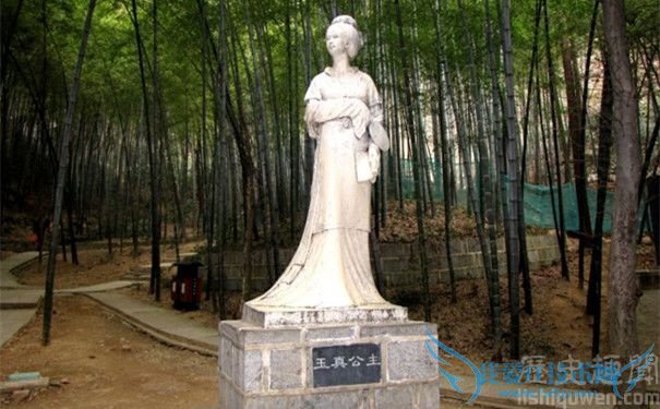 玉真公主简介 王维与玉真公主什么关系 玉真公主简介 王维与玉真公主什么关系