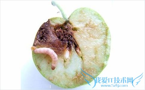 我国澄清一飞蛾引发的历史错案 我国澄清一飞蛾引发的历史错案