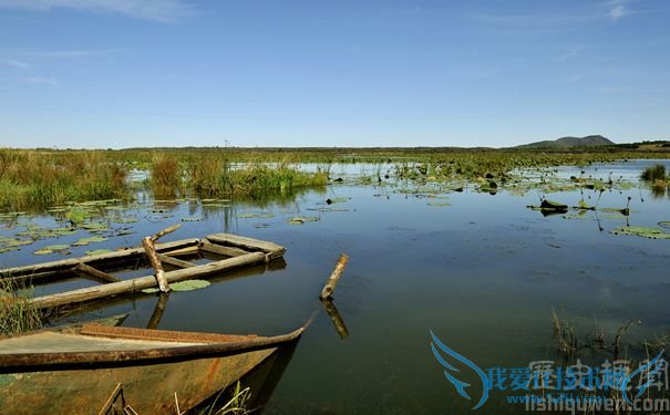 五大连池湿地 五大连池湿地