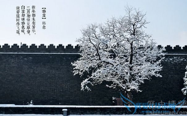 《春雪》配图 《春雪》配图