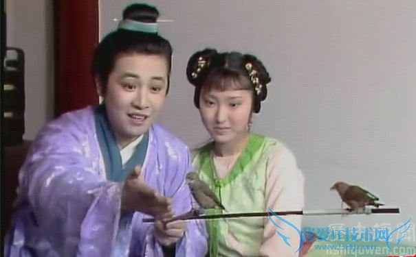 贾蔷和龄官的爱情 贾蔷和贾府是什么关系 贾蔷和龄官的爱情 贾蔷和贾府是什么关系