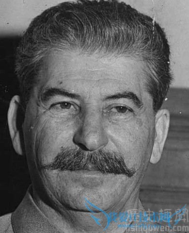 斯大林为什么要大清洗 斯大林模式的弊端 斯大林为什么要大清洗 斯大林模式的弊端