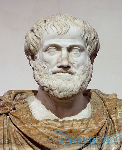 亚历山大的老师是谁 亚历山大和拿破仑的关系 亚历山大的老师是谁 亚历山大和拿破仑的关系