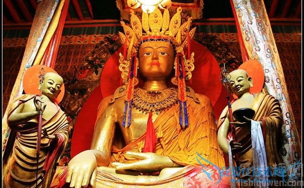 阿难的故事 阿难七个梦是什么 阿难的故事 阿难七个梦是什么