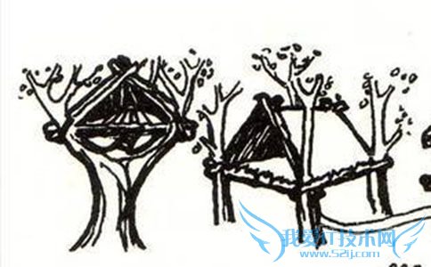 构木为巢以避群害 构木为巢以避群害