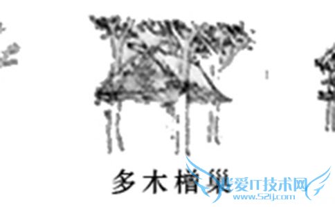 “巢”示意图 “巢”示意图