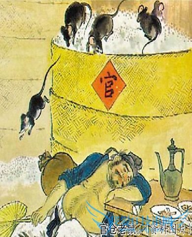 李斯老鼠哲学图片 李斯老鼠哲学图片