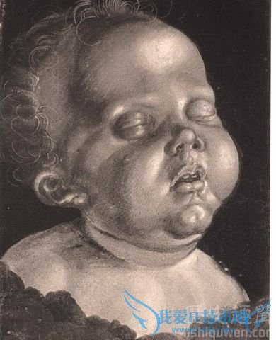 阿尔布雷特·丢勒的简介 丢勒的艺术成就 阿尔布雷特·丢勒的简介 丢勒的艺术成就