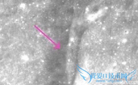 月球上发现嫦娥玉兔 月球上发现嫦娥玉兔