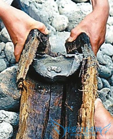 彭山银元圆木 彭山银元圆木