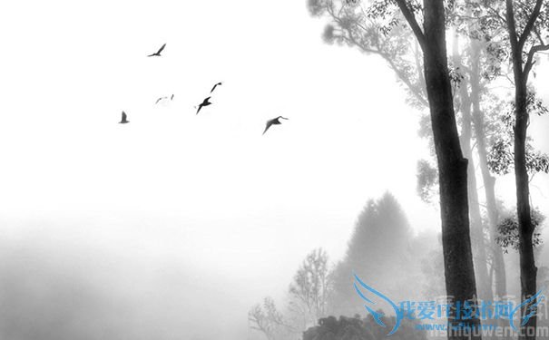 姑苏怀古 姜夔 姑苏怀古 姜夔