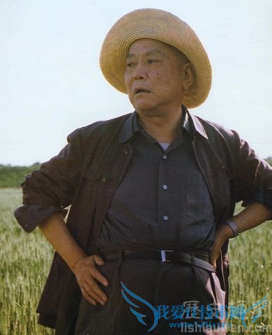 李先念照片 李先念照片