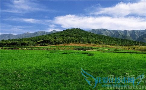 秦始皇陵封土照 秦始皇陵封土照