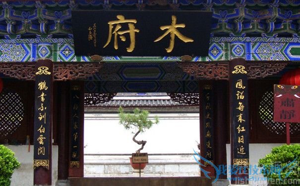 木青木府 木青木府