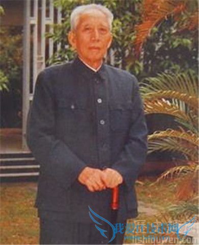 王震为什么叫王胡子 王震的临终遗言 王震为什么叫王胡子 王震的临终遗言