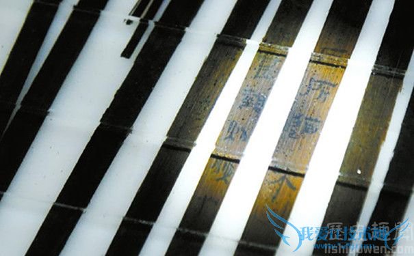 扁鹊医书竹简 扁鹊医书竹简