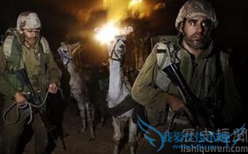 黎以武装冲突造成灾难 黎以武装冲突造成灾难