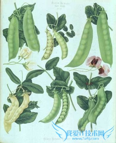 ϵ¶ְҵʲô ϵ¶Ŵɽ