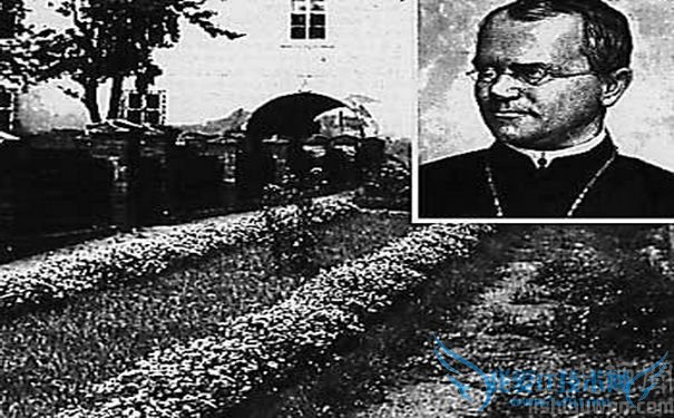 ϵ¶ְҵʲô ϵ¶Ŵɽ