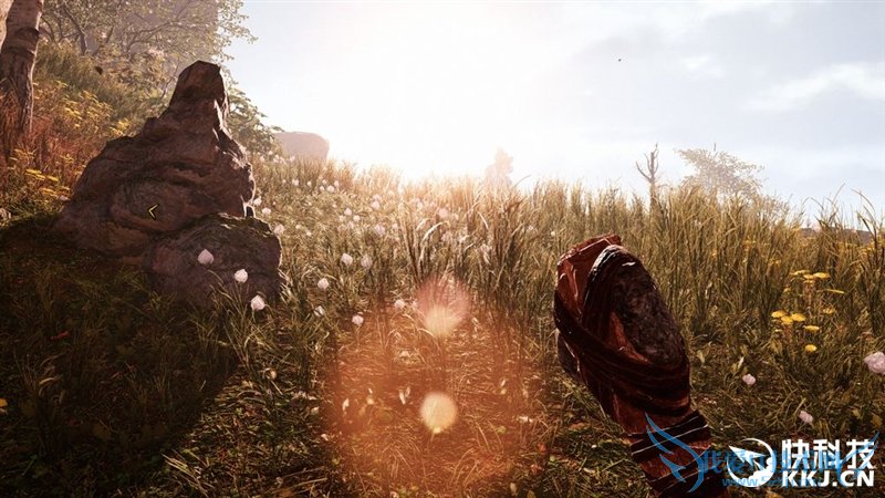 µ꣺ԭʼɱ¾Կʵ⣺A̫ˣ