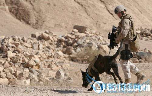 Ը·ը:ԷIEDϵͳС˻