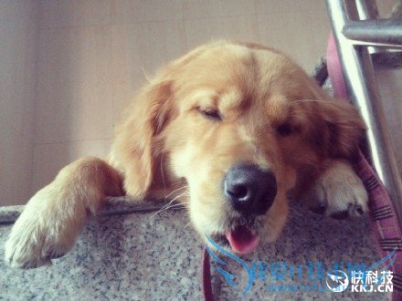 反转!李世石终于战胜了阿尔法狗