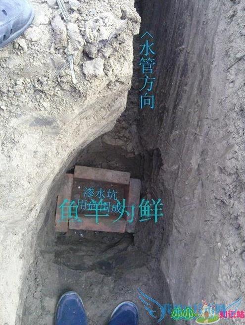 ҼˮܶסˣǼ4,5,6¥ͣˮ