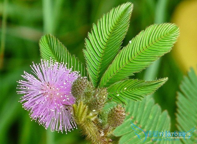 ߲ΪʲôẦ ߲ݻẦߵԭ