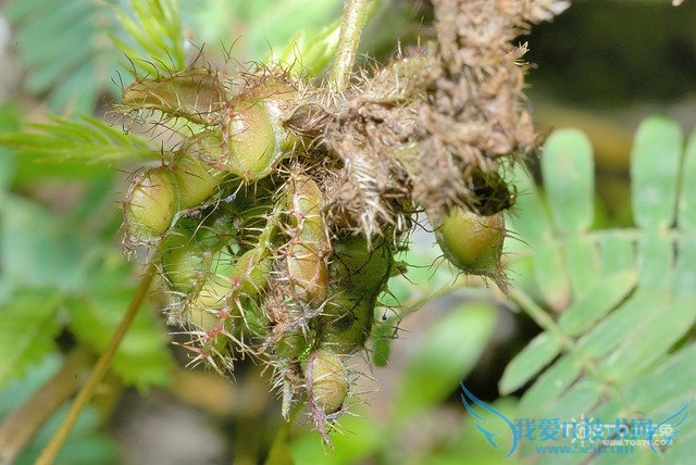 ߲ΪʲôẦ ߲ݻẦߵԭ