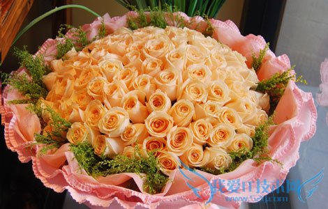 õ廨ȫ ɫõ廨ȫ(ǿ)