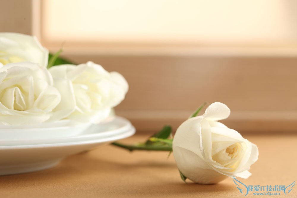 õ廨ȫ ɫõ廨ȫ(ǿ)