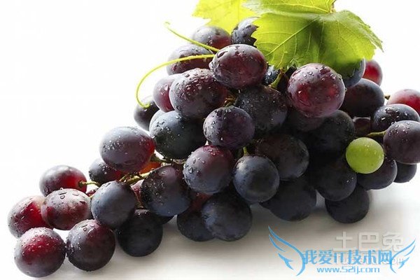 夏黑葡萄多少钱一斤